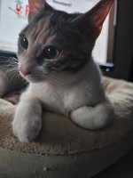 IMG_20260120_213856087.jpg