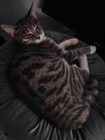 IMG_20251217_201206496.jpg